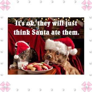 FYI ❤️Recipes Christmas Variety